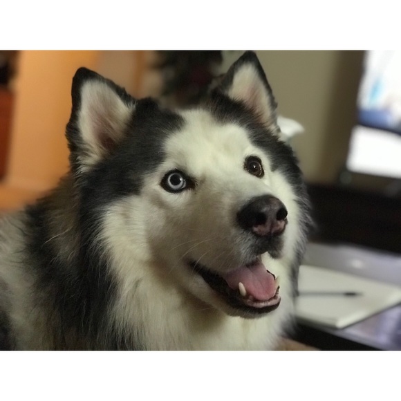 hi! ☼ {meet your posher} - Picture 3 of 4